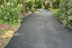 Geisel-Pave-After-1